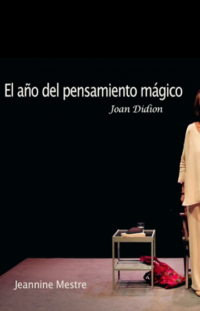 El año del pensamiento mágico