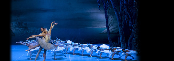 St. Petersburg Festival Ballet: El Lago de los Cisnes