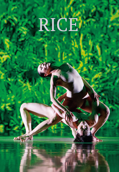 Rice → Teatros del Canal