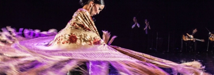 Emociones: Espectáculo flamenco