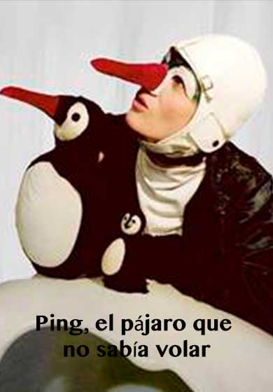Ping, el pájaro que no sabía volar → Sala Teatro Cuarta Pared