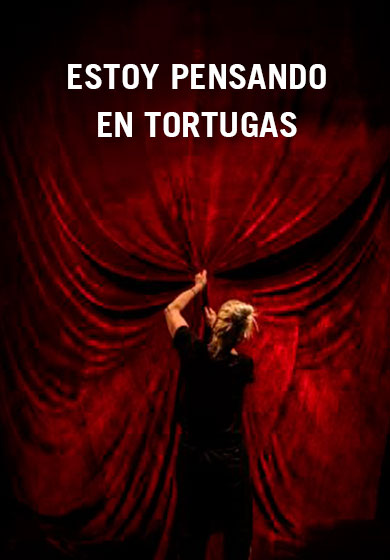 Estoy pensando en tortugas → Naves del Español