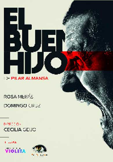 El buen hijo → Teatros Luchana