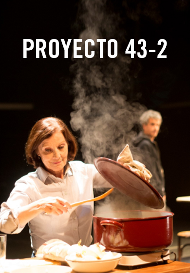 Proyecto 43-2