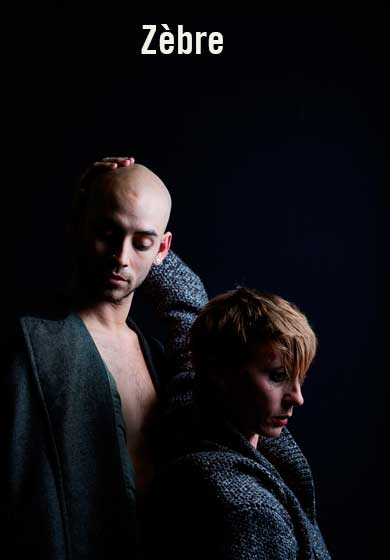 Zèbre