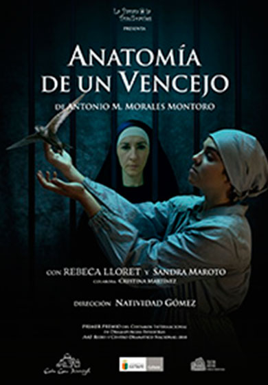 Anatomía de un Vencejo