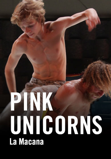 Pink Unicorns