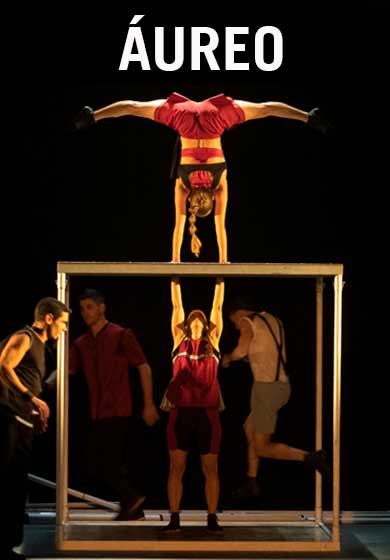 Áureo → Teatro Circo Price