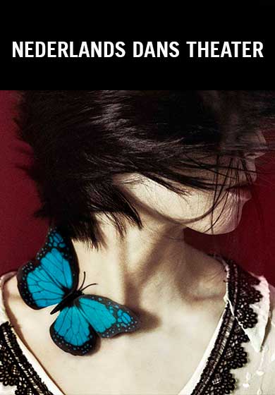 Danza: Jubilee -Nederlands Dans Theater- → Teatro Real