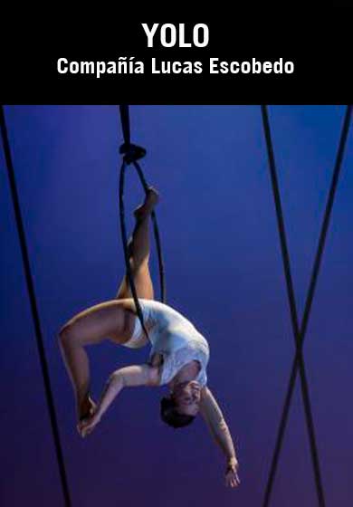 YOLO (You only live once) → Teatro Circo Price