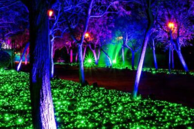 Imagen de Naturaleza encendida