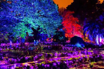 Imagen de Naturaleza encendida