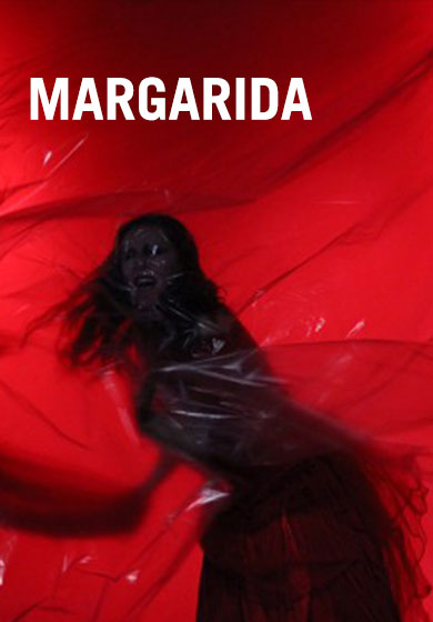 Margarida