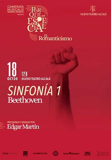 Camerata Musicalis: ¿Por qué es especial? → Teatro Nuevo Alcalá