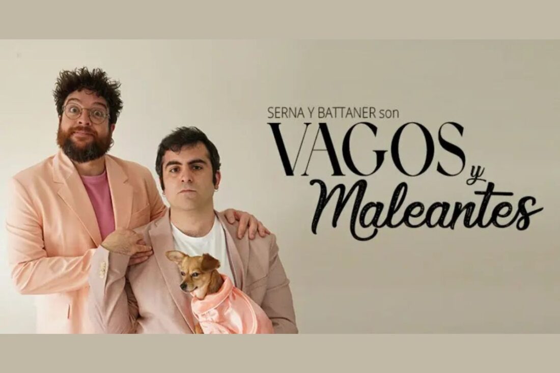 Vagos y maleantes