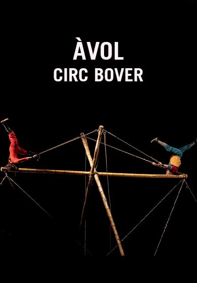 Circ Bover: Àvol
