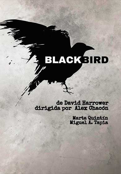 Álex Chacón: Blackbird