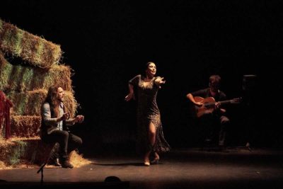 Imagen de 'Burdina/Hierro' en Teatro Español