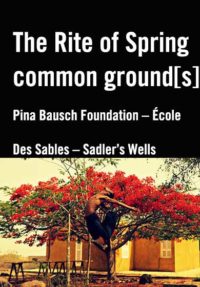 Common ground[s] / The Rite of Spring