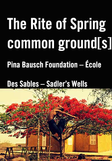 Common ground[s] / The Rite of Spring