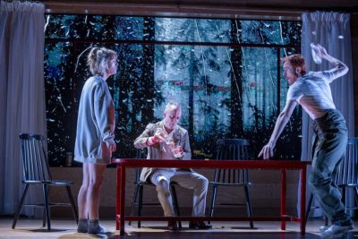 Imagen de Principiantes de Andrés Lima en Los Teatros del Canal