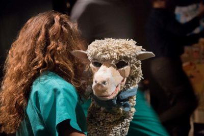 Imagen del espectáculo teatral 'Excalibur y otras historias de animales muertos' en el Teatro del Barrio