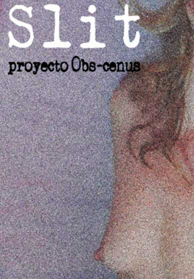 Obs-cenus/SLIT