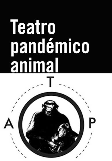 Teatro Pandémico animal → Teatro Pradillo