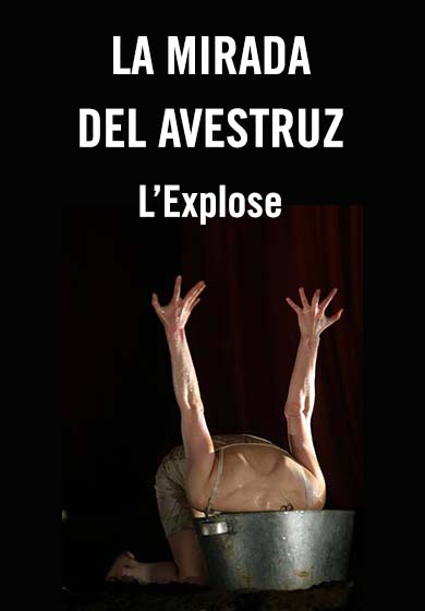 La mirada del avestruz