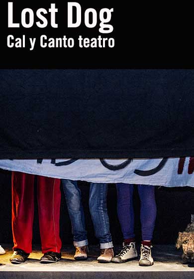 Lost Dog → Teatro Pradillo