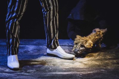 Imagen de Lost Dog de Cal y Canto Teatro en el Teatro Pradillo