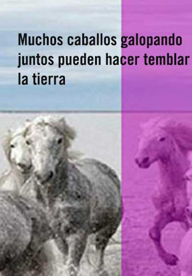 Muchos caballos galopando juntos pueden hacer temblar la tierra → Teatro Pradillo