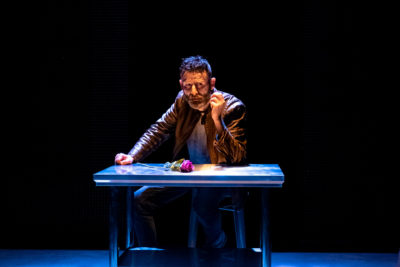 Imagen del espectáculo teatral 1888 Señorita Julia en el Teatro Lara