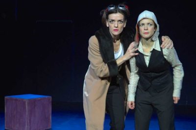 Imagen de 'Las trágicas payasas de Shakespeare' de Hernán Gené