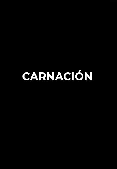 Rocío Molina: Carnación