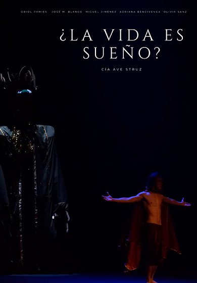 ¿La vida es sueño?