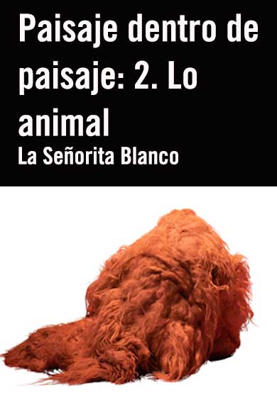 La Señorita Blanco: Paisaje dentro de paisaje: 2. Lo animal