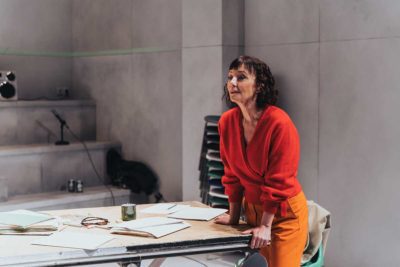 Imagen de Los pálidos de Lucía Carballal