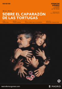 Sobre el caparazón de las tortugas