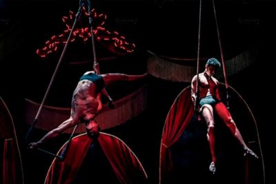 Imagen de 'Free Rein Mama' de Roberto Gasca