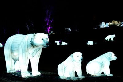 imagen de 'Articus. La estrella de la Navidad' de Lets Go en Casa de Campo