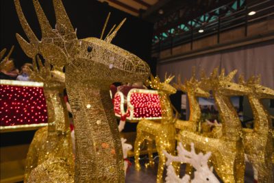 imagen de 'Articus. La estrella de la Navidad' de Lets Go en Casa de Campo
