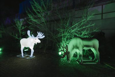 imagen de 'Articus. La estrella de la Navidad' de Lets Go en Casa de Campo