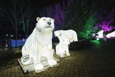imagen de 'Articus. La estrella de la Navidad' de Lets Go en Casa de Campo