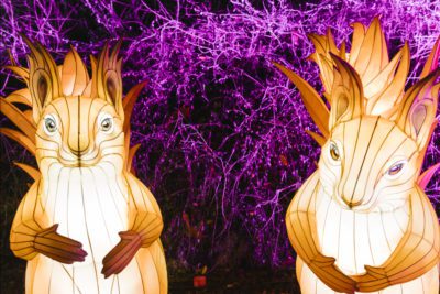 imagen de 'Articus. La estrella de la Navidad' de Lets Go en Casa de Campo