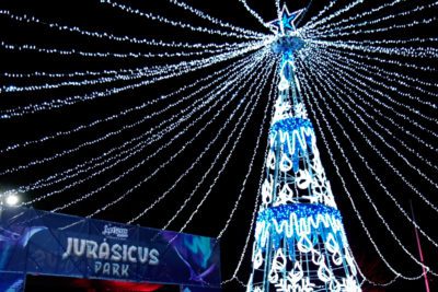 imagen de 'Articus. La estrella de la Navidad' de Lets Go en Casa de Campo