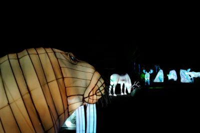 imagen de 'Articus. La estrella de la Navidad' de Lets Go en Casa de Campo