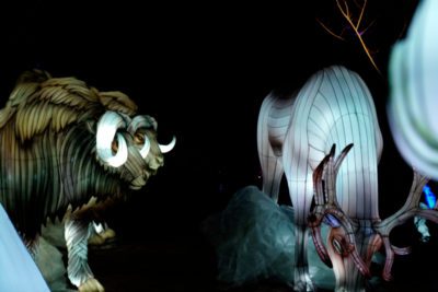 imagen de 'Articus. La estrella de la Navidad' de Lets Go en Casa de Campo