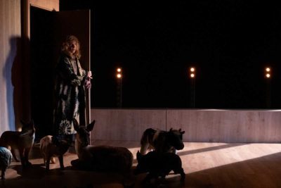 Imagen de 'Sobre la vida de los animales' de Lola Blasco