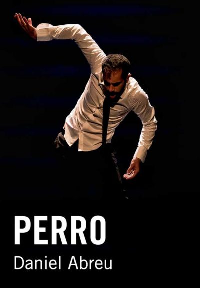Perro